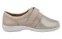 Petula (75264H)