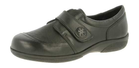 OWL 6v (6e-8e)