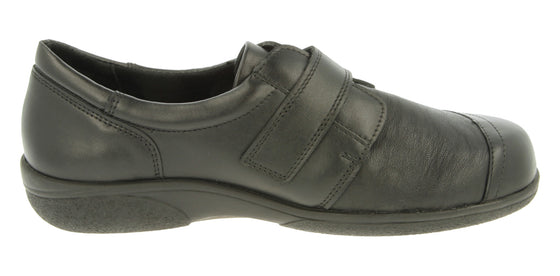 OWL 6v (6e-8e)
