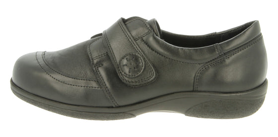 OWL 6v (6e-8e)